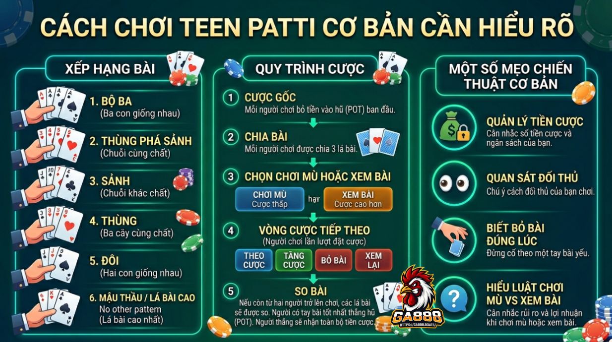 Cách chơi Teen Patti cơ bản cần hiểu rõ