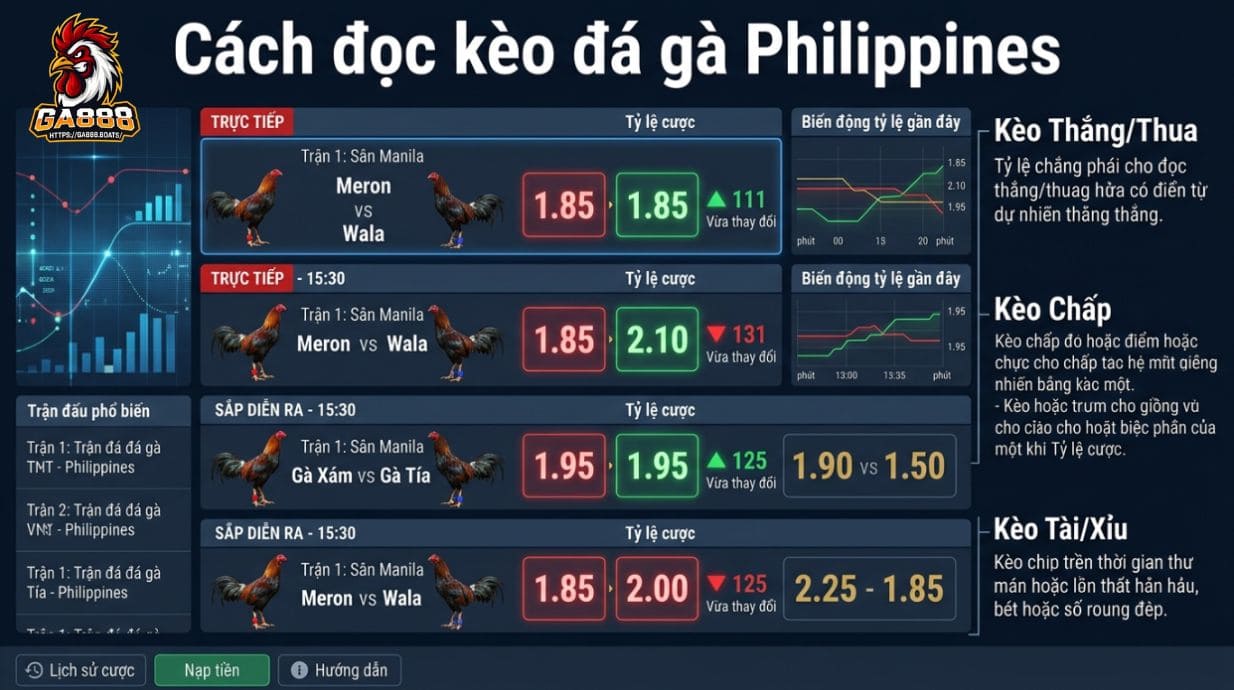 Cách đọc kèo đá gà Philippines