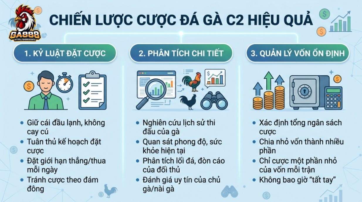 Chiến lược cược đá gà C2 hiệu quả