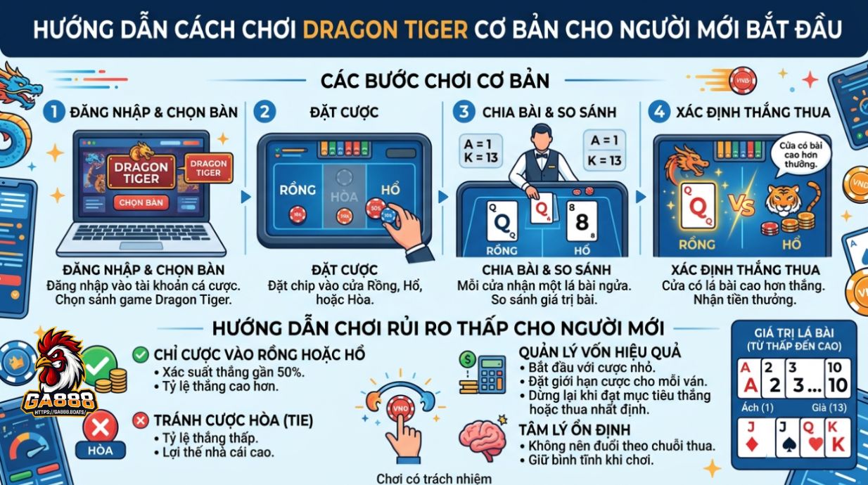 Hướng dẫn chơi Rồng Hổ cơ bản dành cho người mới bắt đầu